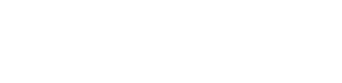 Fire Authority