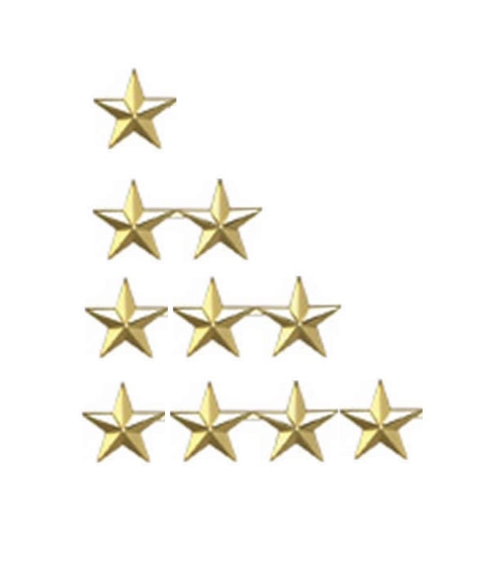 LawPro Star Insignia Set